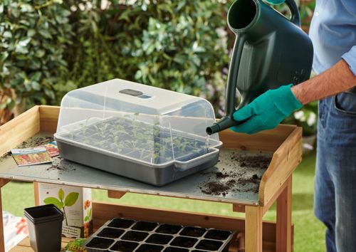 Clever Pots Propagator